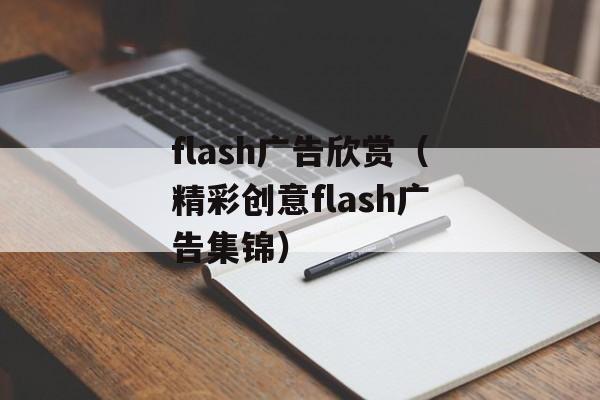 flash广告欣赏（精彩创意flash广告集锦）-第1张图片-居家生活