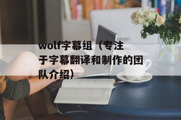 wolf字幕组（专注于字幕翻译和制作的团队介绍）-第1张图片-居家生活