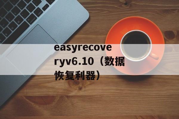 easyrecoveryv6.10（数据恢复利器）-第1张图片-居家生活