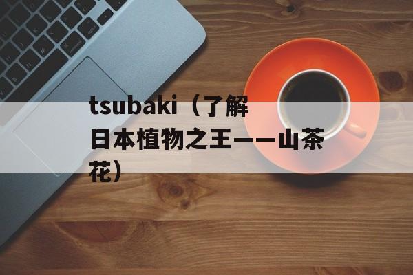 tsubaki（了解日本植物之王——山茶花）-第1张图片-居家生活