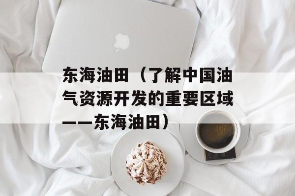 东海油田（了解中国油气资源开发的重要区域——东海油田）-第1张图片-居家生活