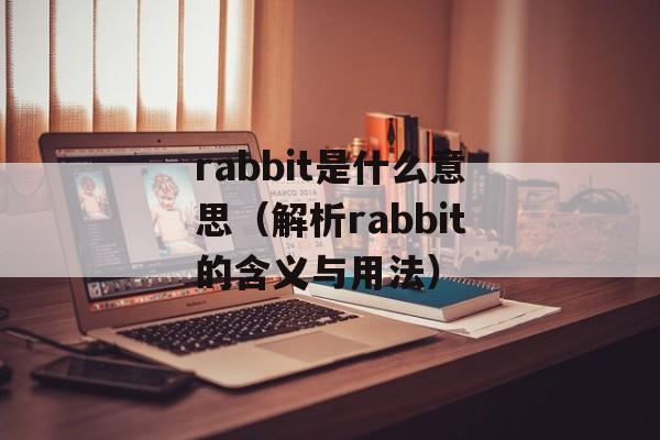 rabbit是什么意思（解析rabbit的含义与用法）-第1张图片-居家生活