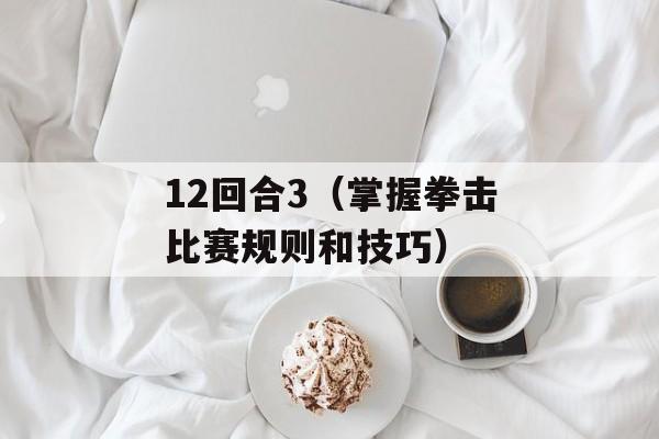 12回合3（掌握拳击比赛规则和技巧）-第1张图片-居家生活