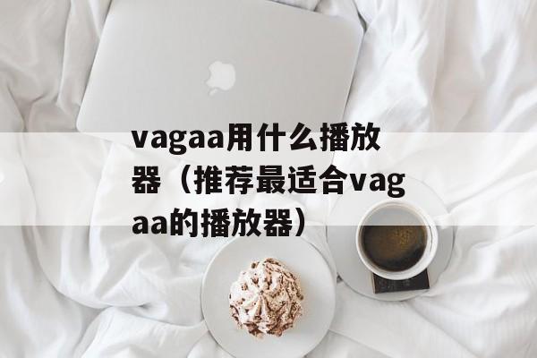 vagaa用什么播放器（推荐最适合vagaa的播放器）-第1张图片-居家生活