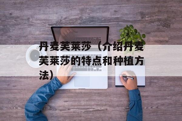 丹麦芙莱莎（介绍丹麦芙莱莎的特点和种植方法）-第1张图片-居家生活