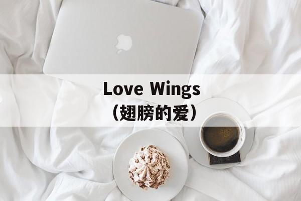 Love Wings（翅膀的爱）-第1张图片-居家生活