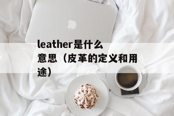 leather是什么意思（皮革的定义和用途）-第1张图片-居家生活