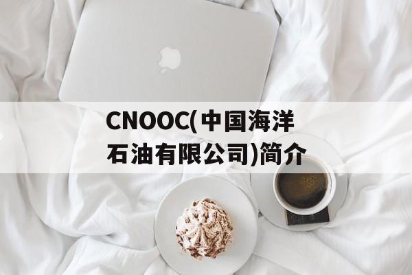 CNOOC(中国海洋石油有限公司)简介-第1张图片-居家生活