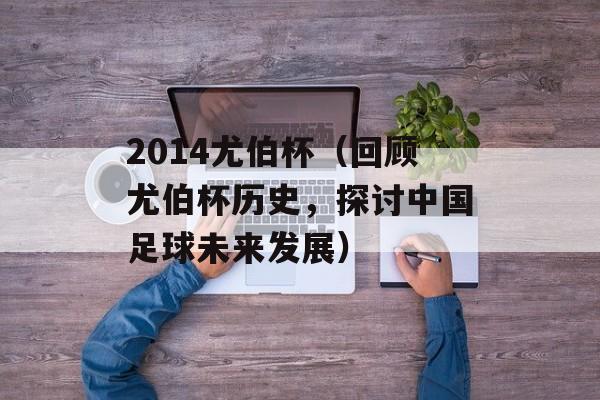 2014尤伯杯（回顾尤伯杯历史，探讨中国足球未来发展）-第1张图片-居家生活