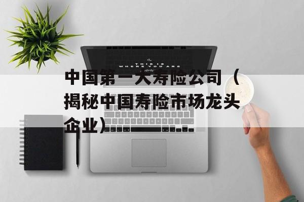 中国第一大寿险公司（揭秘中国寿险市场龙头企业）-第1张图片-居家生活