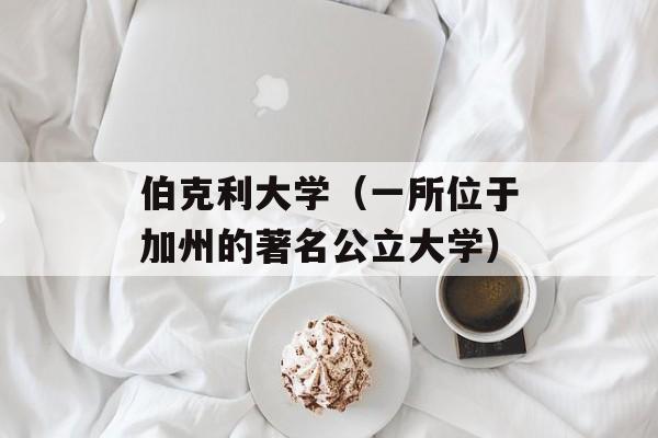 伯克利大学（一所位于加州的著名公立大学）-第1张图片-居家生活
