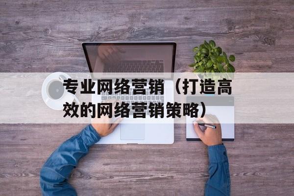 专业网络营销（打造高效的网络营销策略）-第1张图片-居家生活