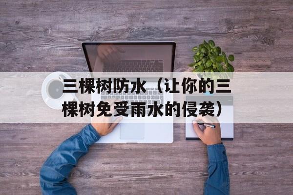 三棵树防水（让你的三棵树免受雨水的侵袭）-第1张图片-居家生活