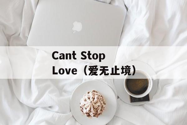 Cant Stop Love（爱无止境）-第1张图片-居家生活