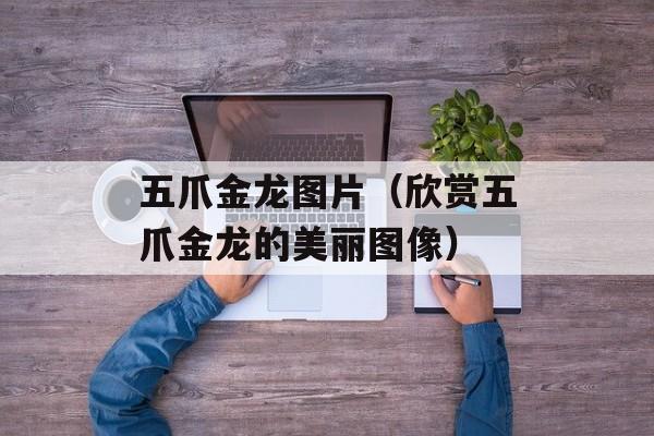 五爪金龙图片（欣赏五爪金龙的美丽图像）-第1张图片-居家生活