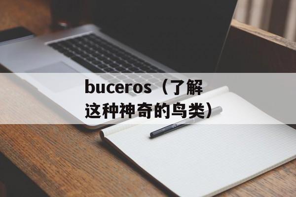 buceros（了解这种神奇的鸟类）-第1张图片-居家生活