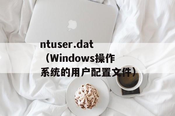 ntuser.dat（Windows操作系统的用户配置文件）-第1张图片-居家生活
