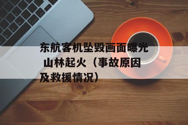东航客机坠毁画面曝光 山林起火（事故原因及救援情况）-第1张图片-居家生活