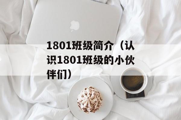 1801班级简介（认识1801班级的小伙伴们）-第1张图片-居家生活