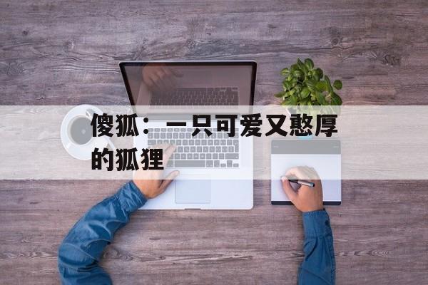 傻狐：一只可爱又憨厚的狐狸-第1张图片-居家生活