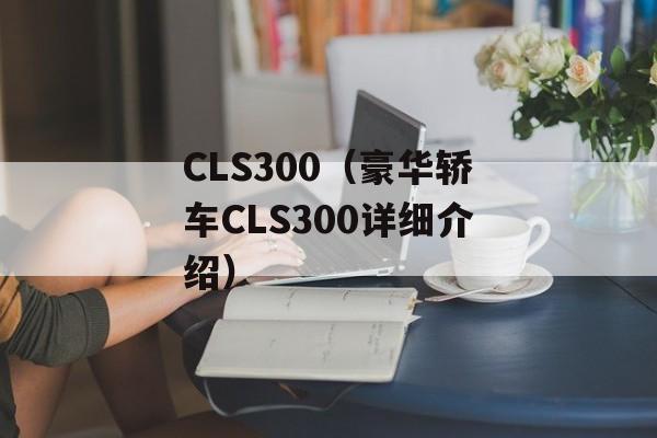 CLS300（豪华轿车CLS300详细介绍）-第1张图片-居家生活