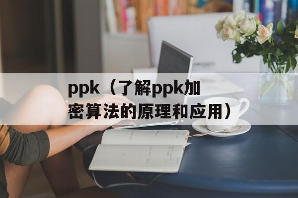 ppk（了解ppk加密算法的原理和应用）-第1张图片-居家生活