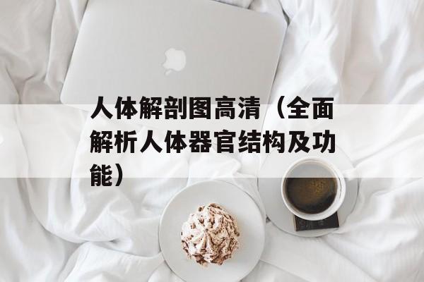 人体解剖图高清（全面解析人体器官结构及功能）-第1张图片-居家生活