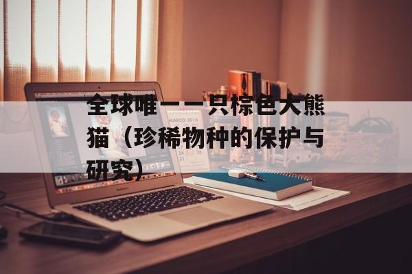 全球唯一一只棕色大熊猫（珍稀物种的保护与研究）-第1张图片-居家生活