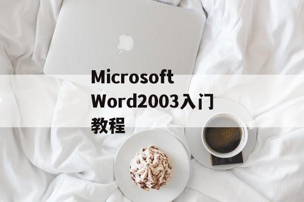 Microsoft Word2003入门教程-第1张图片-居家生活