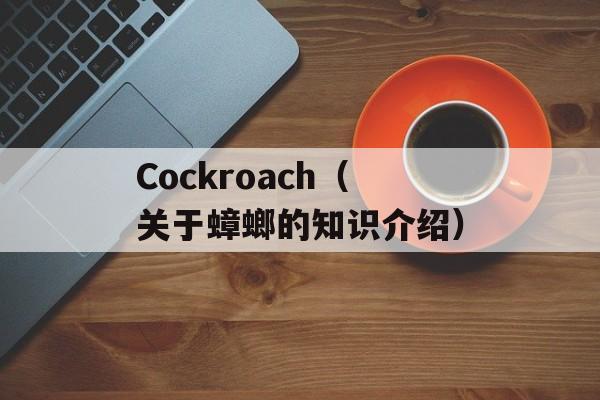 Cockroach（关于蟑螂的知识介绍）-第1张图片-居家生活