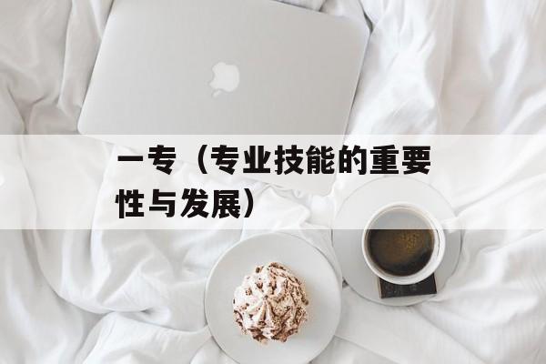 一专（专业技能的重要性与发展）-第1张图片-居家生活