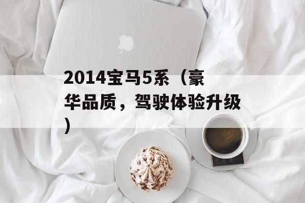 2014宝马5系（豪华品质，驾驶体验升级）-第1张图片-居家生活
