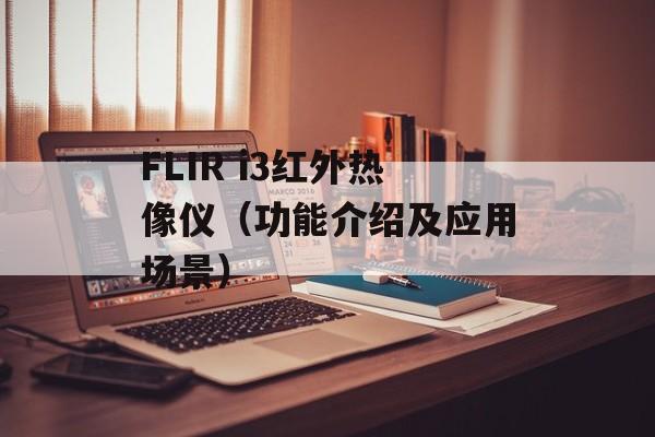 FLIR i3红外热像仪（功能介绍及应用场景）-第1张图片-居家生活
