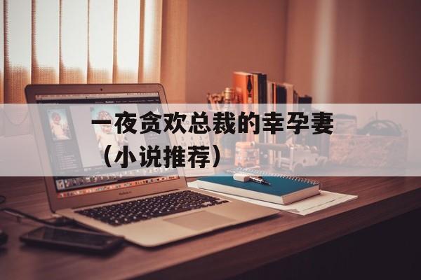 一夜贪欢总裁的幸孕妻（小说推荐）-第1张图片-居家生活