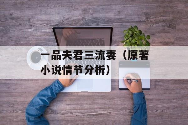 一品夫君三流妻（原著小说情节分析）-第1张图片-居家生活