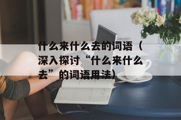 什么来什么去的词语（深入探讨“什么来什么去”的词语用法）-第1张图片-居家生活