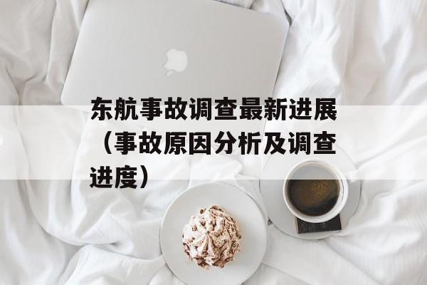 东航事故调查最新进展（事故原因分析及调查进度）-第1张图片-居家生活