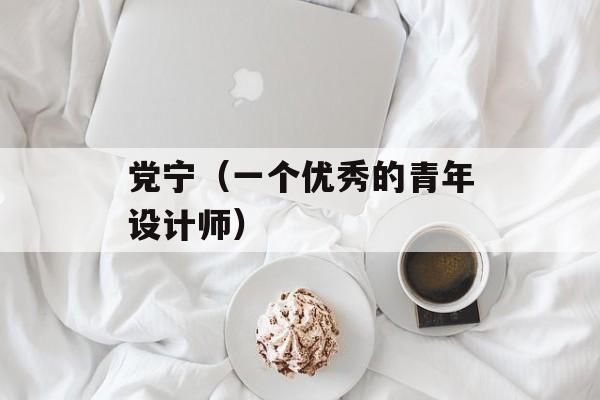 党宁（一个优秀的青年设计师）-第1张图片-居家生活
