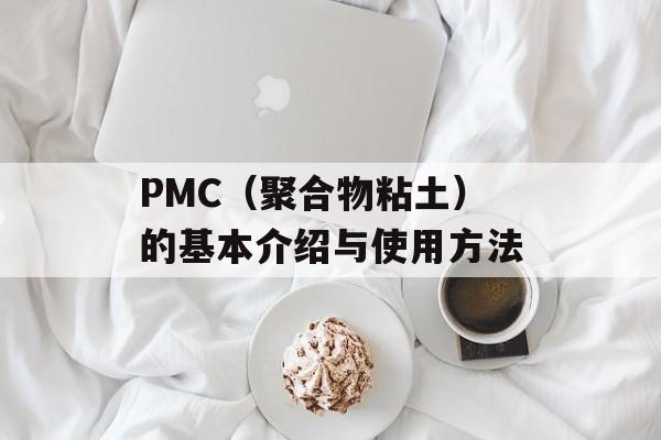 PMC（聚合物粘土）的基本介绍与使用方法-第1张图片-居家生活