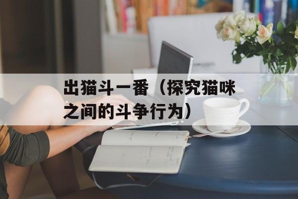 出猫斗一番（探究猫咪之间的斗争行为）-第1张图片-居家生活