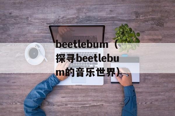 beetlebum（探寻beetlebum的音乐世界）-第1张图片-居家生活