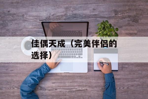 佳偶天成（完美伴侣的选择）-第1张图片-居家生活