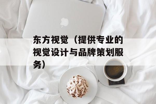 东方视觉（提供专业的视觉设计与品牌策划服务）-第1张图片-居家生活