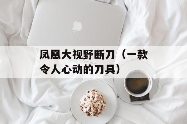 凤凰大视野断刀（一款令人心动的刀具）-第1张图片-居家生活