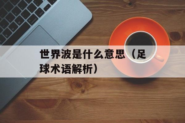 世界波是什么意思（足球术语解析）-第1张图片-居家生活