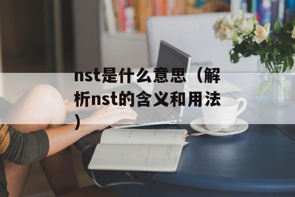 nst是什么意思（解析nst的含义和用法）-第1张图片-居家生活