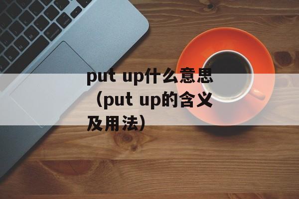 put up什么意思（put up的含义及用法）-第1张图片-居家生活