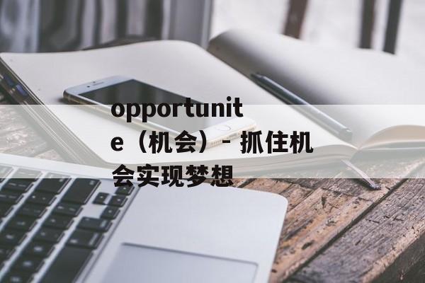 opportunite（机会）- 抓住机会实现梦想-第1张图片-居家生活