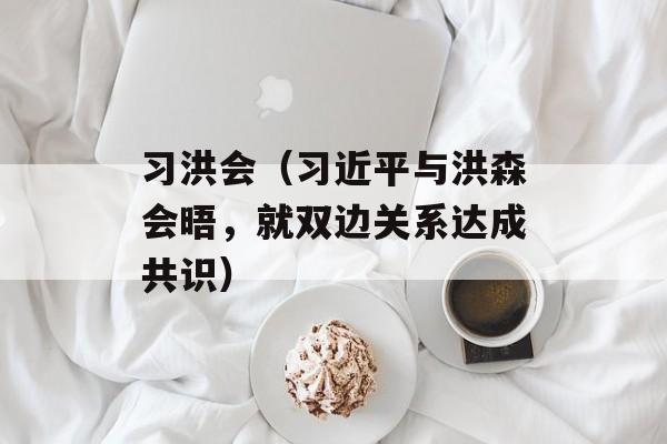 习洪会（习近平与洪森会晤，就双边关系达成共识）-第1张图片-居家生活