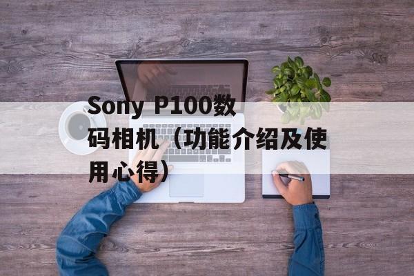 Sony P100数码相机（功能介绍及使用心得）-第1张图片-居家生活
